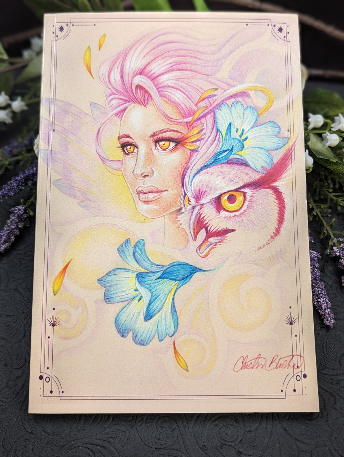 6"x9" Campaign Notebook/Journal